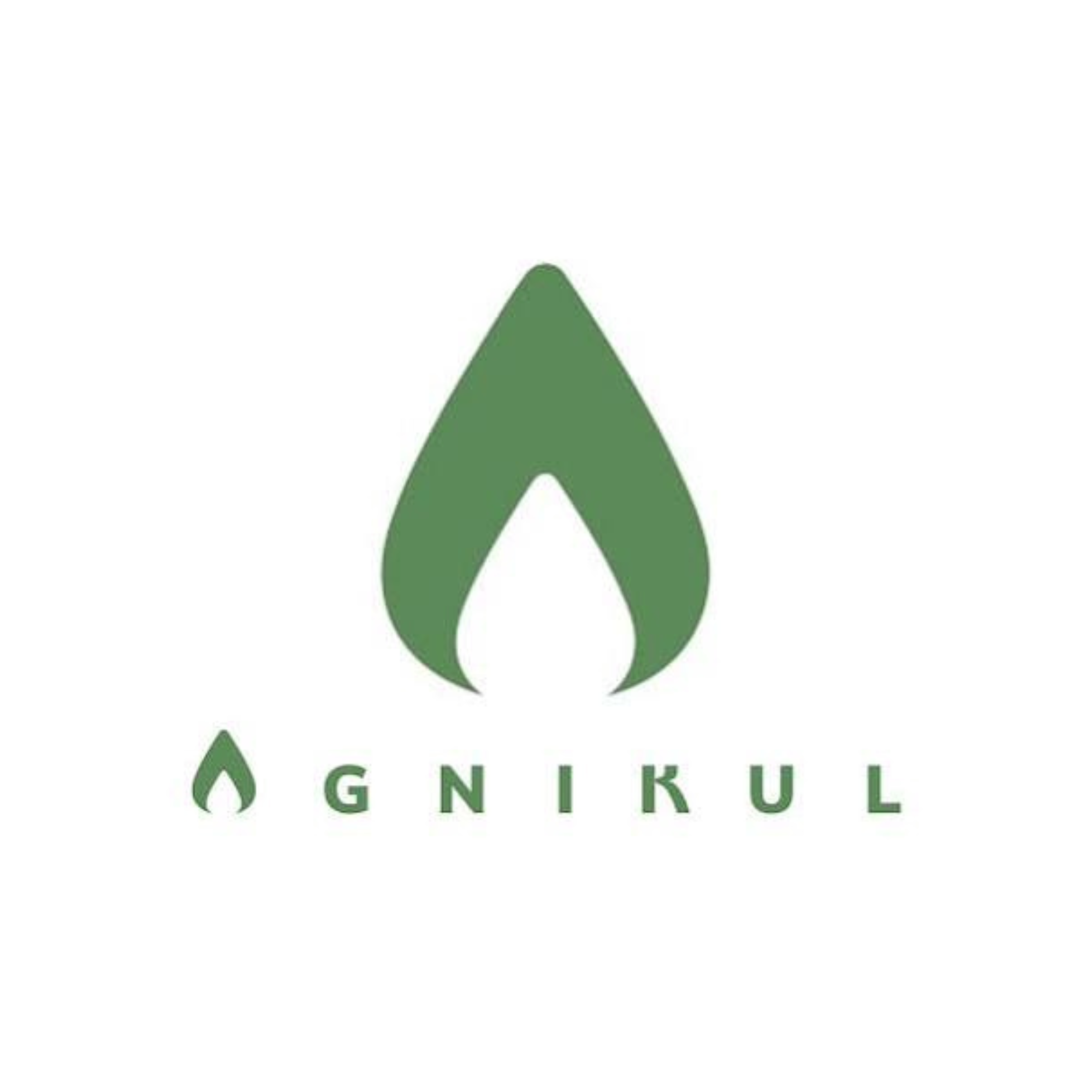 Agnikul Cosmos logo